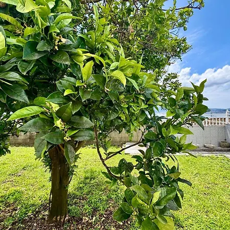 Holibai Laranxeira, Escapada A Casita De Campo En Nigran, Galicia Ferienhaus Nigrán